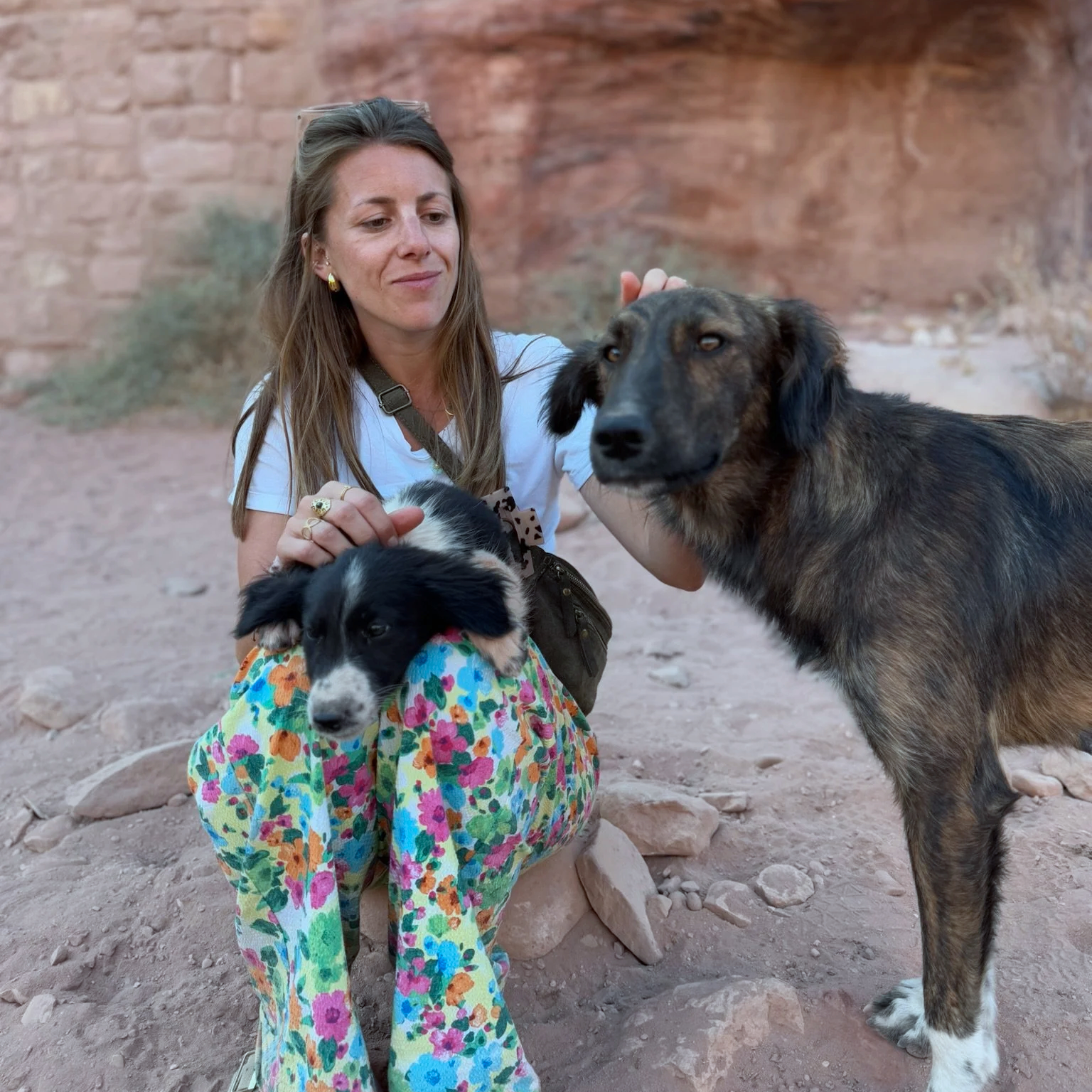 Une femme avec deux chiens, un chien de petite taille à motifs colorés assis sur ses genoux, un chien de grande taille à poils bruns et noirs se tenant à côté d'elle, dans un désert rocheux.