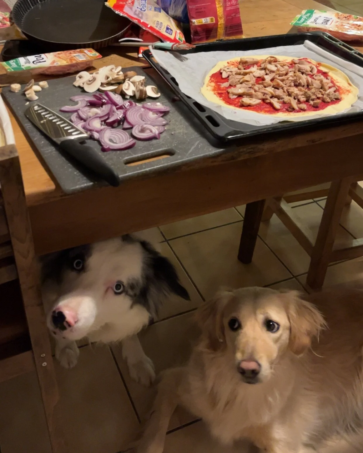 Deux chiens sous une table de cuisine, regardant vers l'objectif, avec une planche à découper devant eux contenant des oignons émincés, des champignons tranchés et une pizza en préparation.
