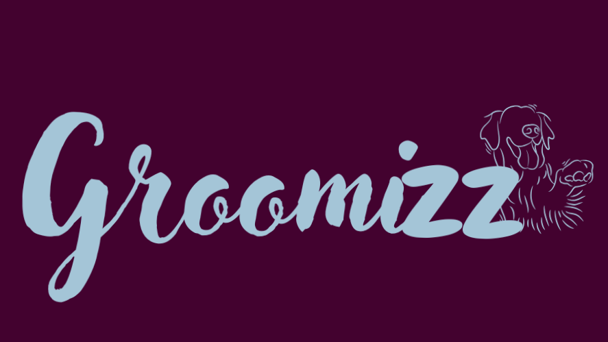GROOMIZZ