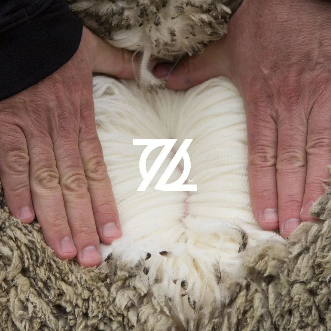 Hands inspecting certified merino wool fleece for quality and traceability