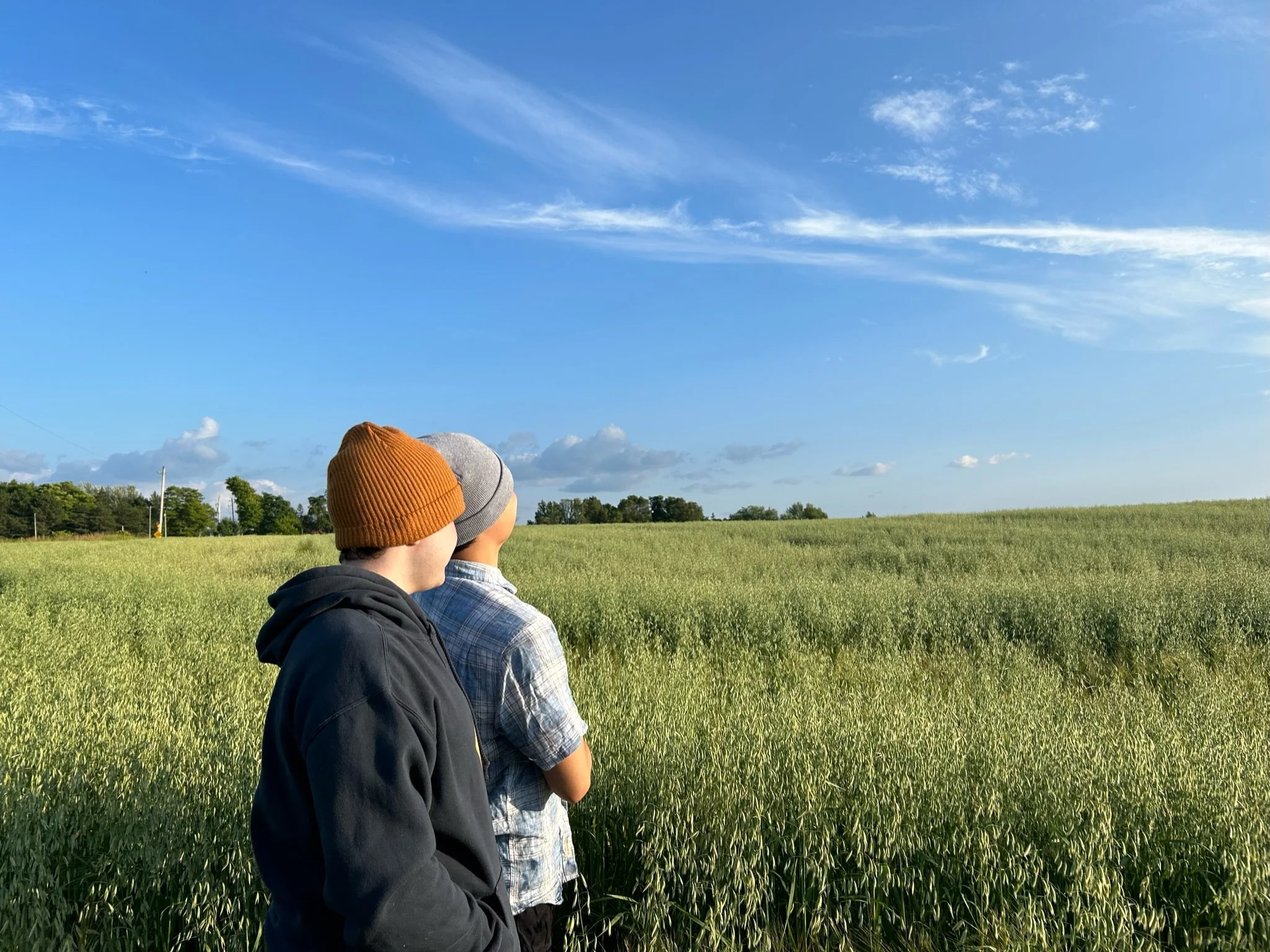 Two people wearing knit beanies standing in a field under a blue sky