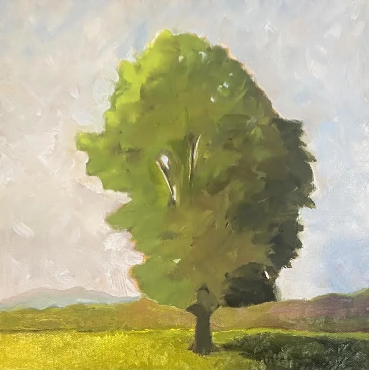 a lone tree