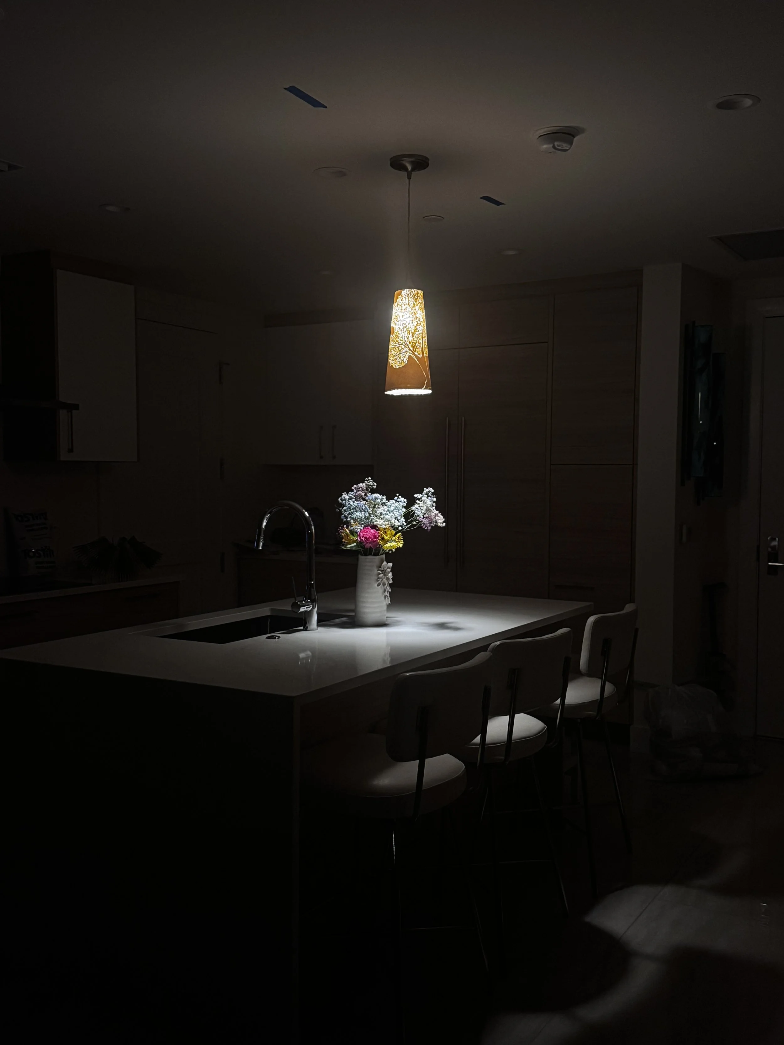 Dimly lit kitchen with a hanging pendant lamp, a vase of flowers on the counter, and several chairs around a small table.