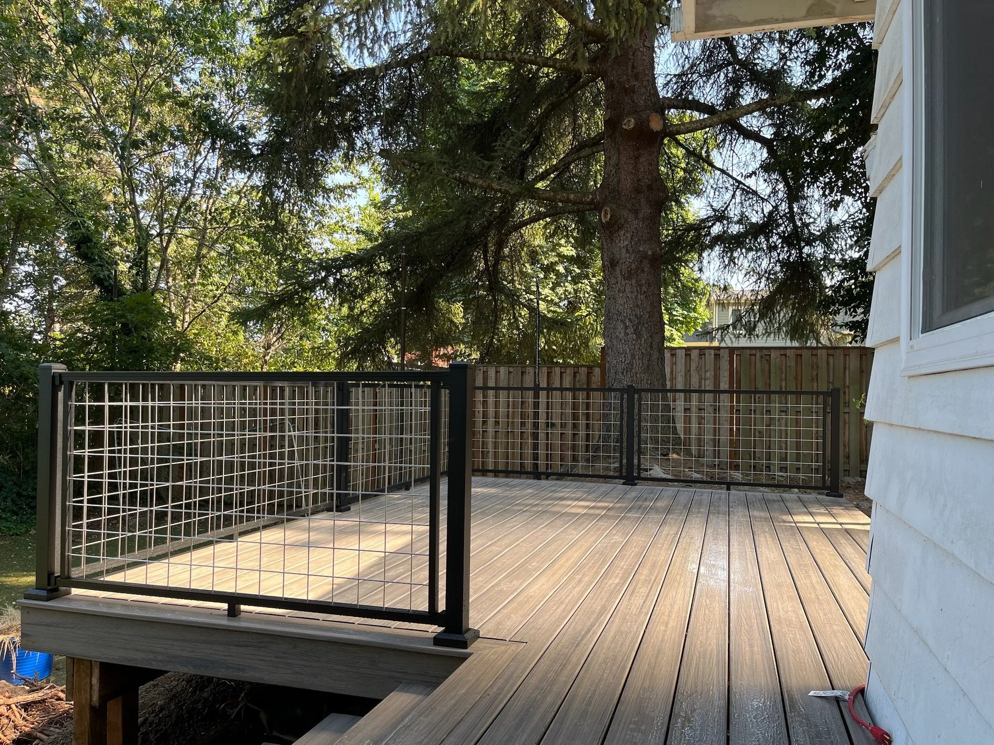 Wooden deck with a black metal fence and a white house exterior wall on the right. A large evergreen tree is visible in the background with sunlight filtering through the foliage.