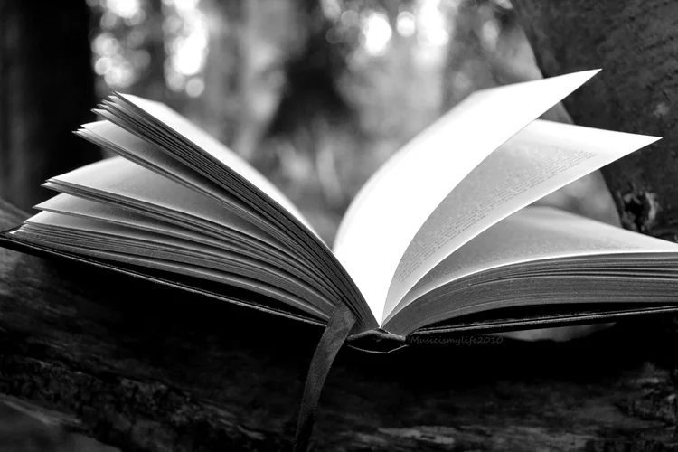 book.jpg