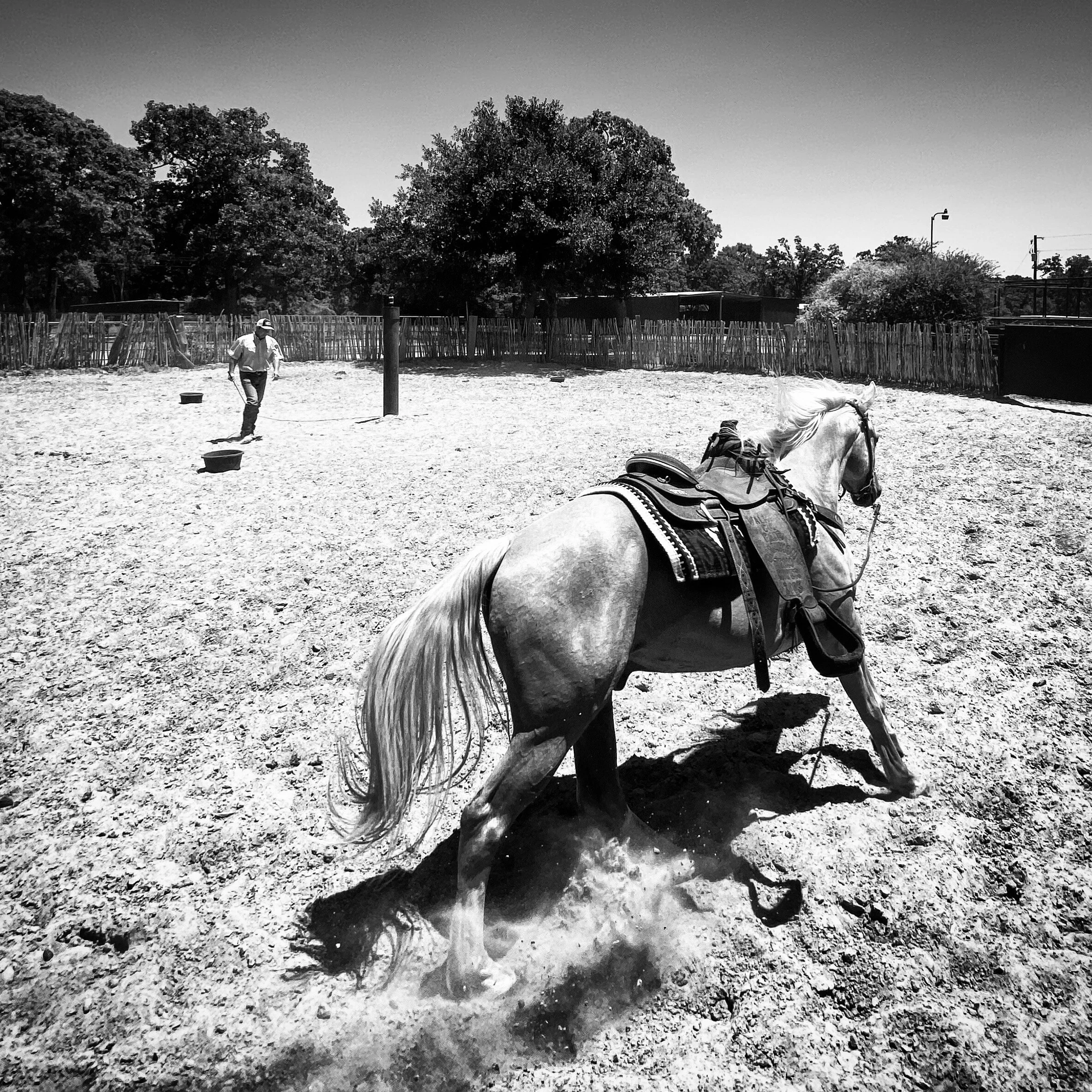 1A0504FF-C2C3-4594-BC36-8EF3F9643DC1.JPG