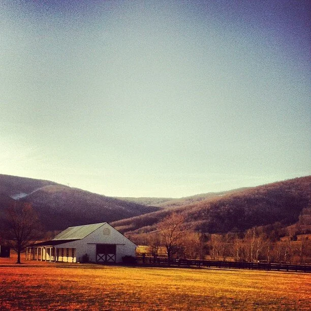 2013-03-09_1362866817.jpg