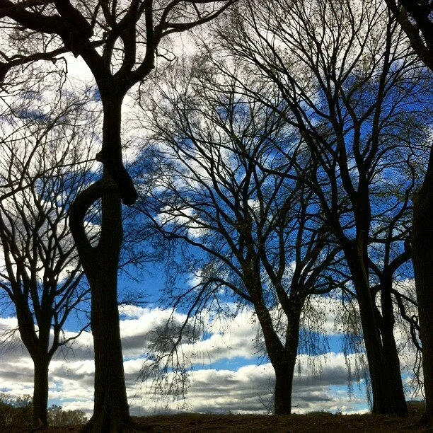 2012-11-03_1351960589.jpg