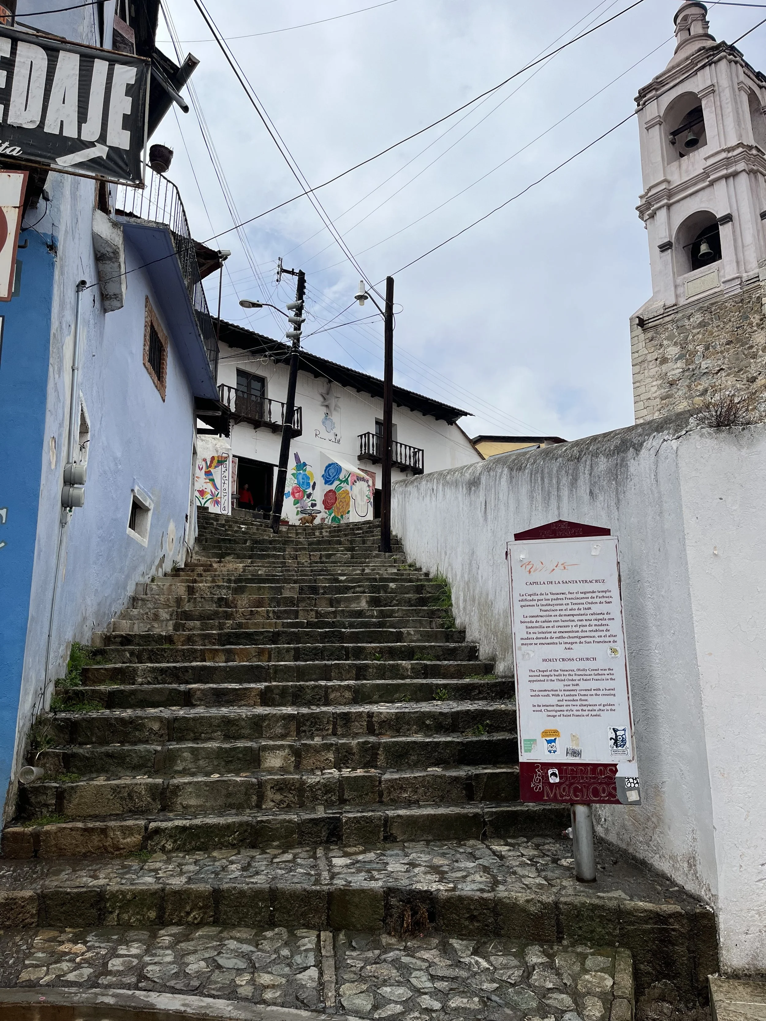 IMG_2361.jpeg