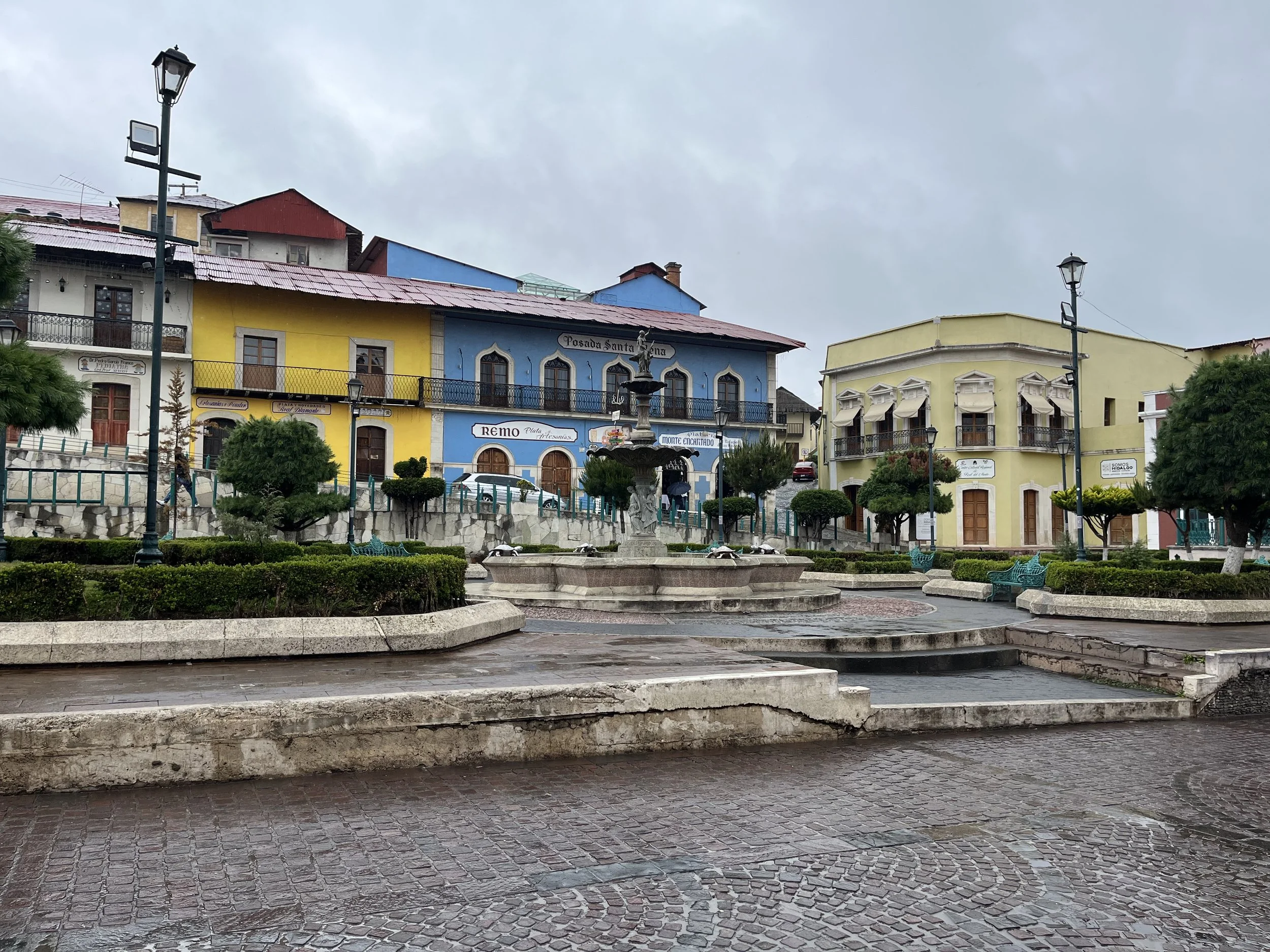 IMG_2351.jpeg