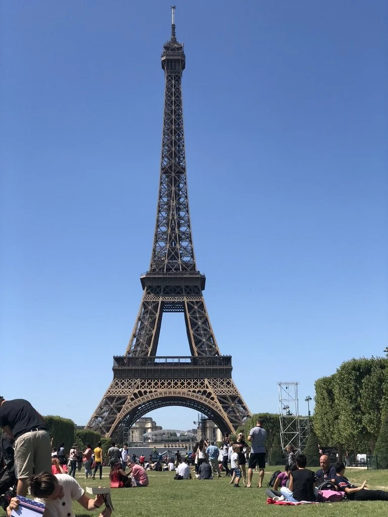 People relaxing and picnicking on the grass in front of the Eiffel Tower during daytime.