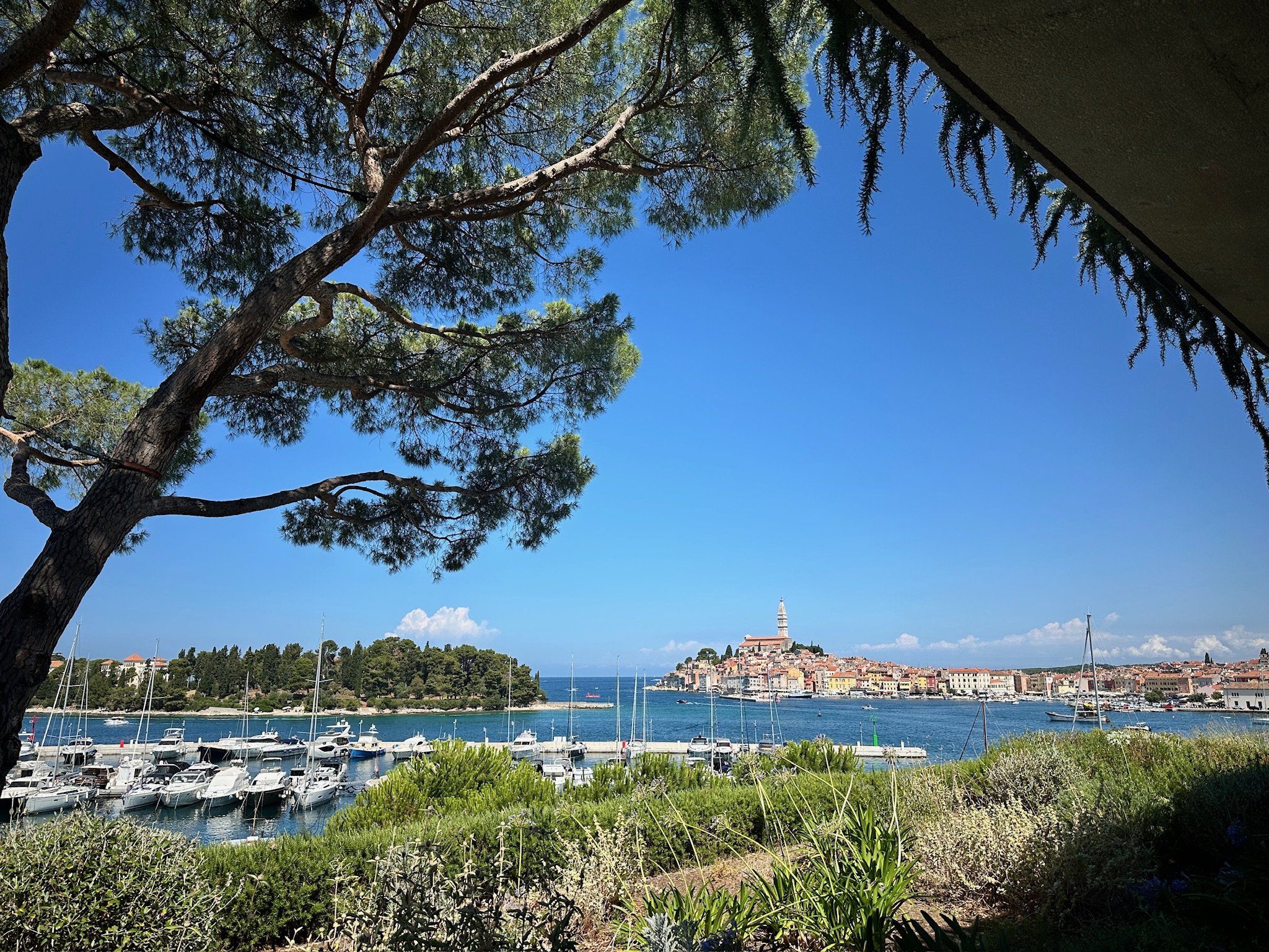A coastal area in Istria, Croatia, with a marina full of boats in the foreground, lush green trees, and a hillside town with a prominent clock tower under a clear blue sky.