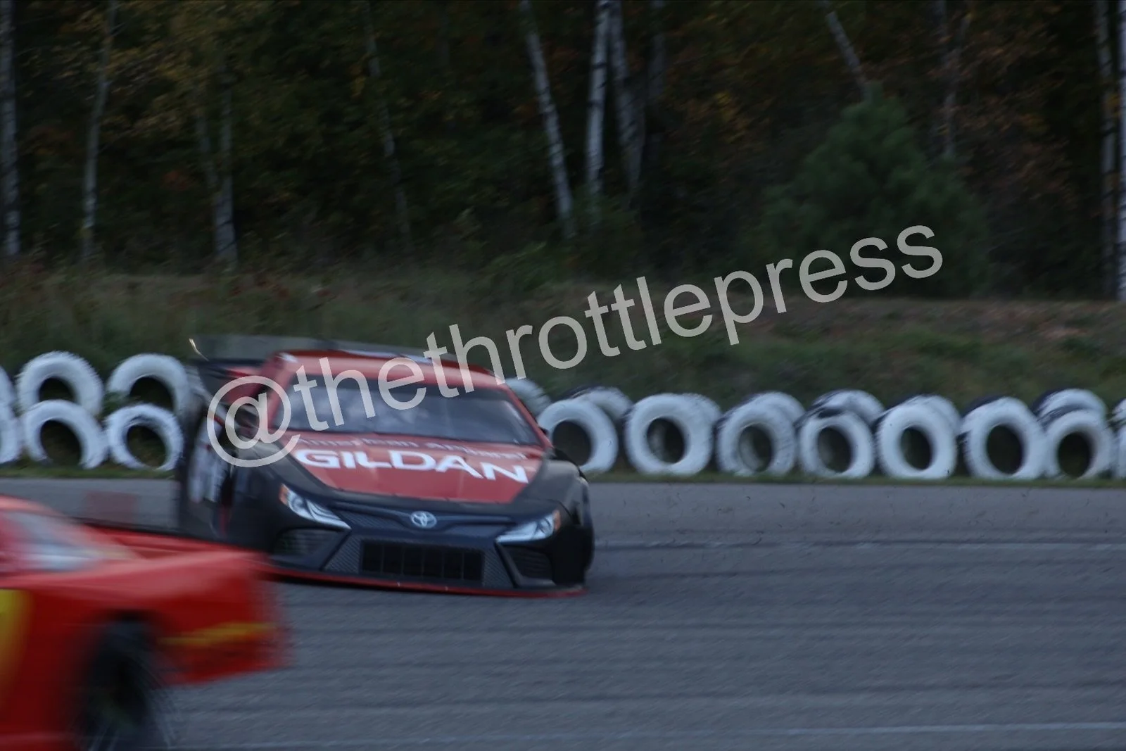 eZy Watermark_05-10-2026_12-14-46-4060.JPG