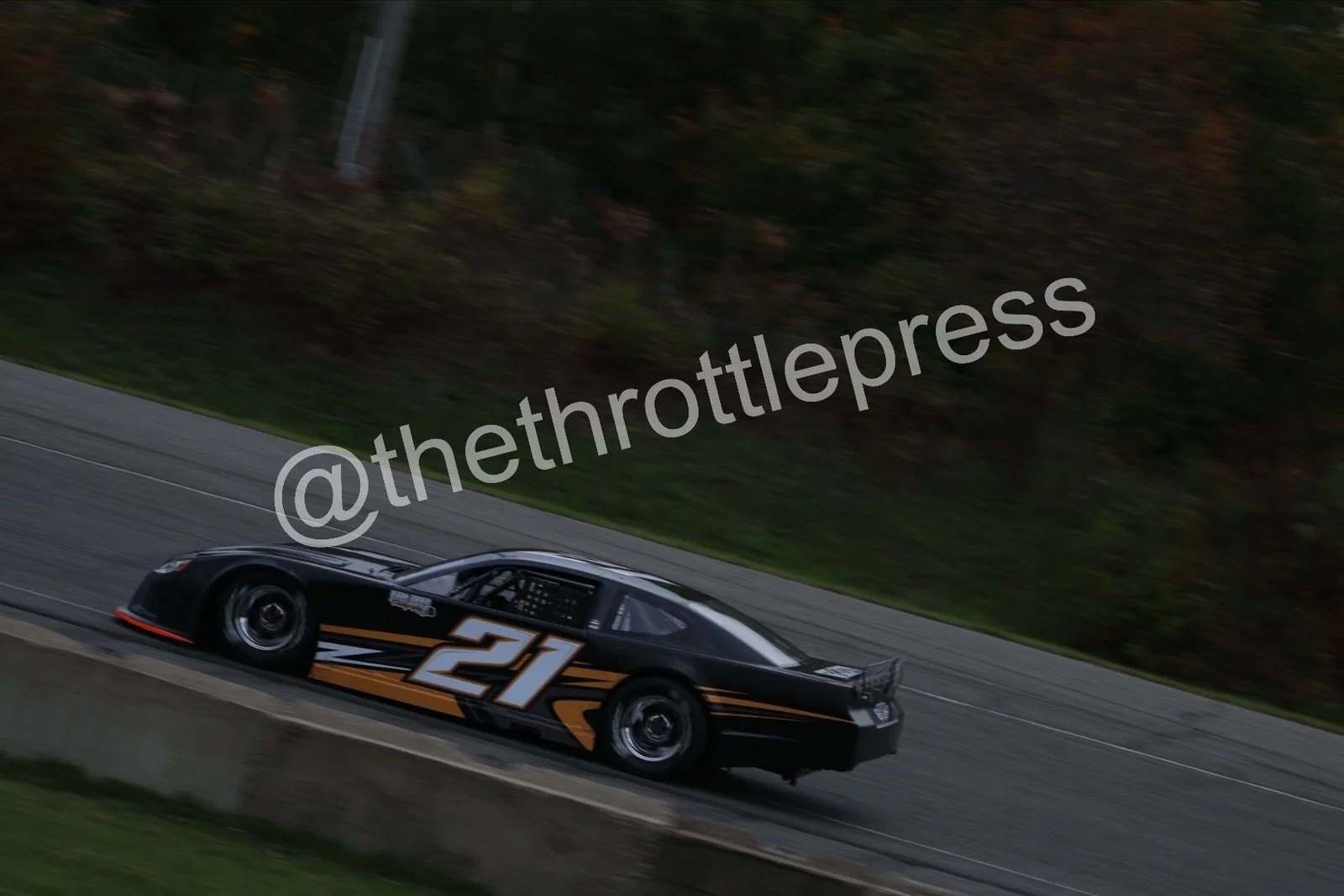 eZy Watermark_05-10-2026_12-07-15-8160.JPG