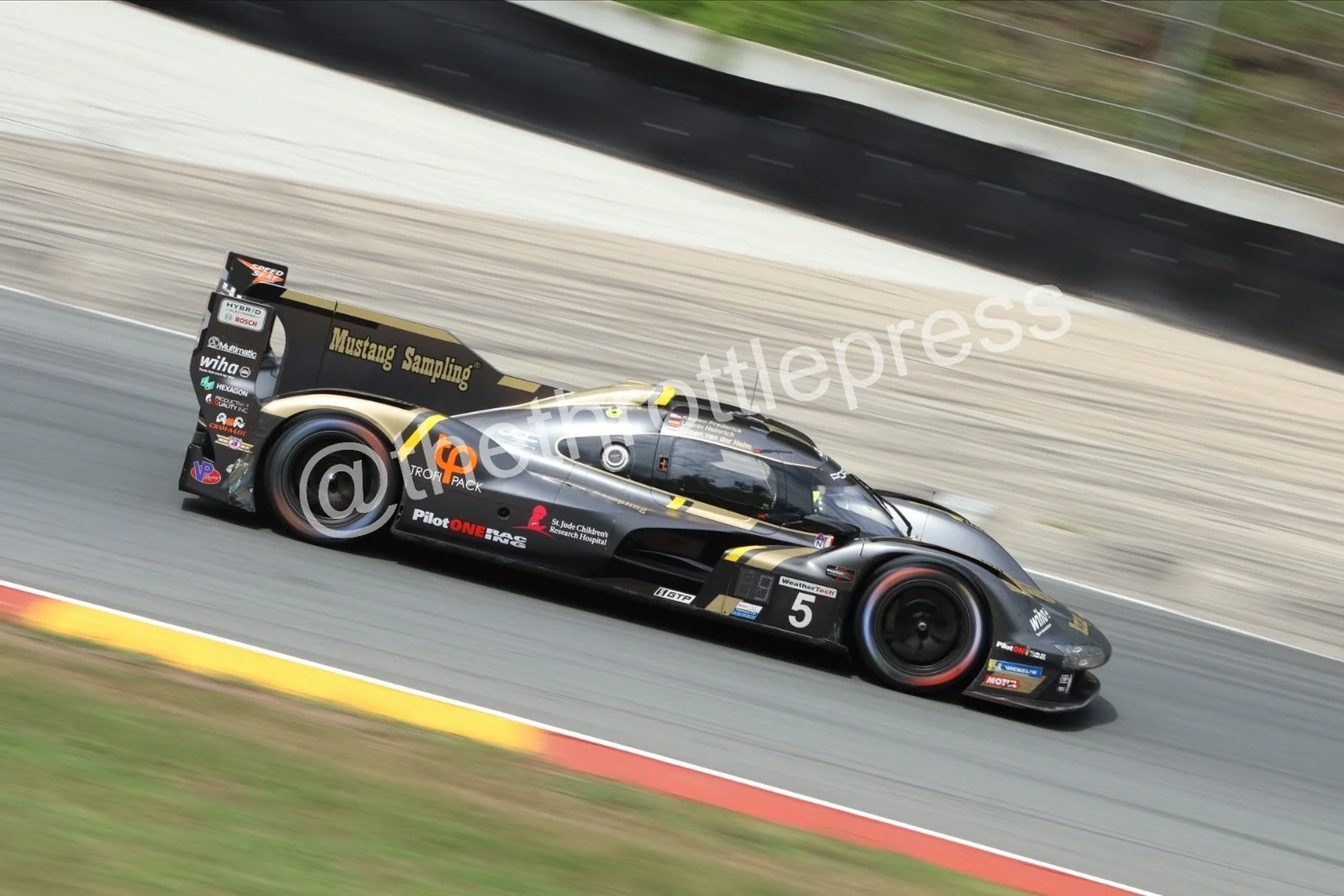 eZy Watermark_17-09-2026_07-43-05-5530.JPG