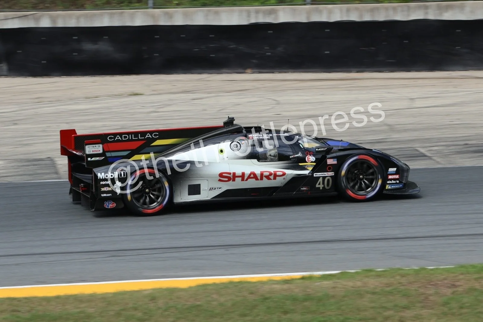 eZy Watermark_17-09-2026_07-43-05-0220.JPG