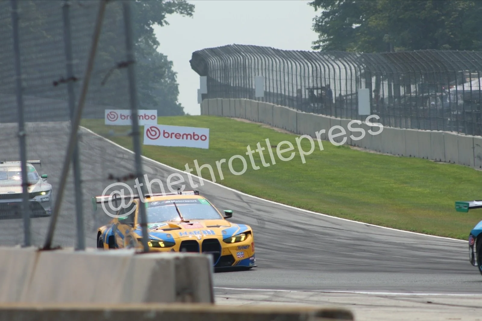 eZy Watermark_14-09-2026_17-15-00-4600.JPG