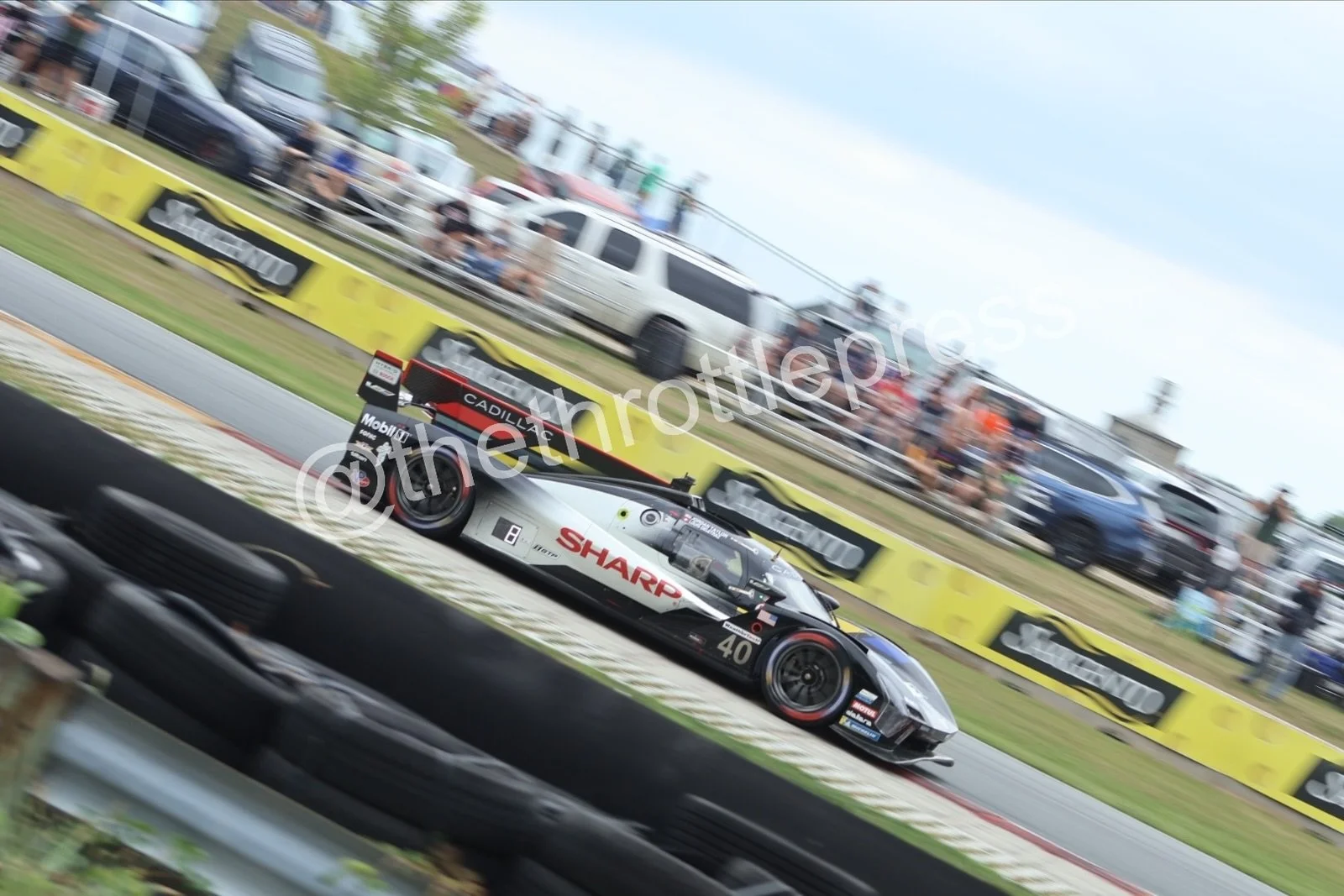 eZy Watermark_17-09-2026_07-41-21-0900.JPG
