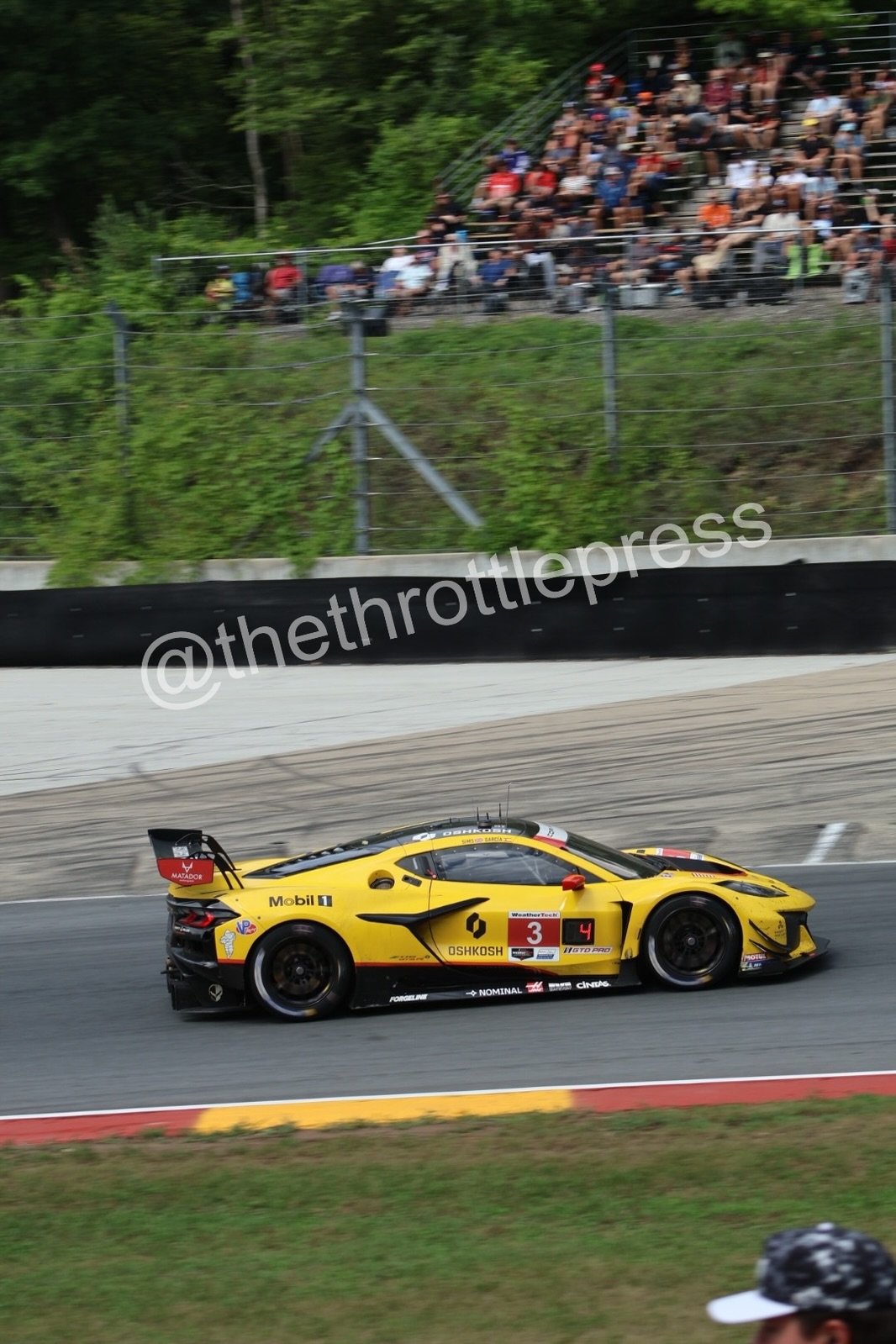 eZy Watermark_17-09-2026_07-41-21-9130.JPG