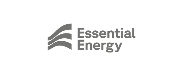 Logo of Essential Energy with stylized wave lines and the company name.