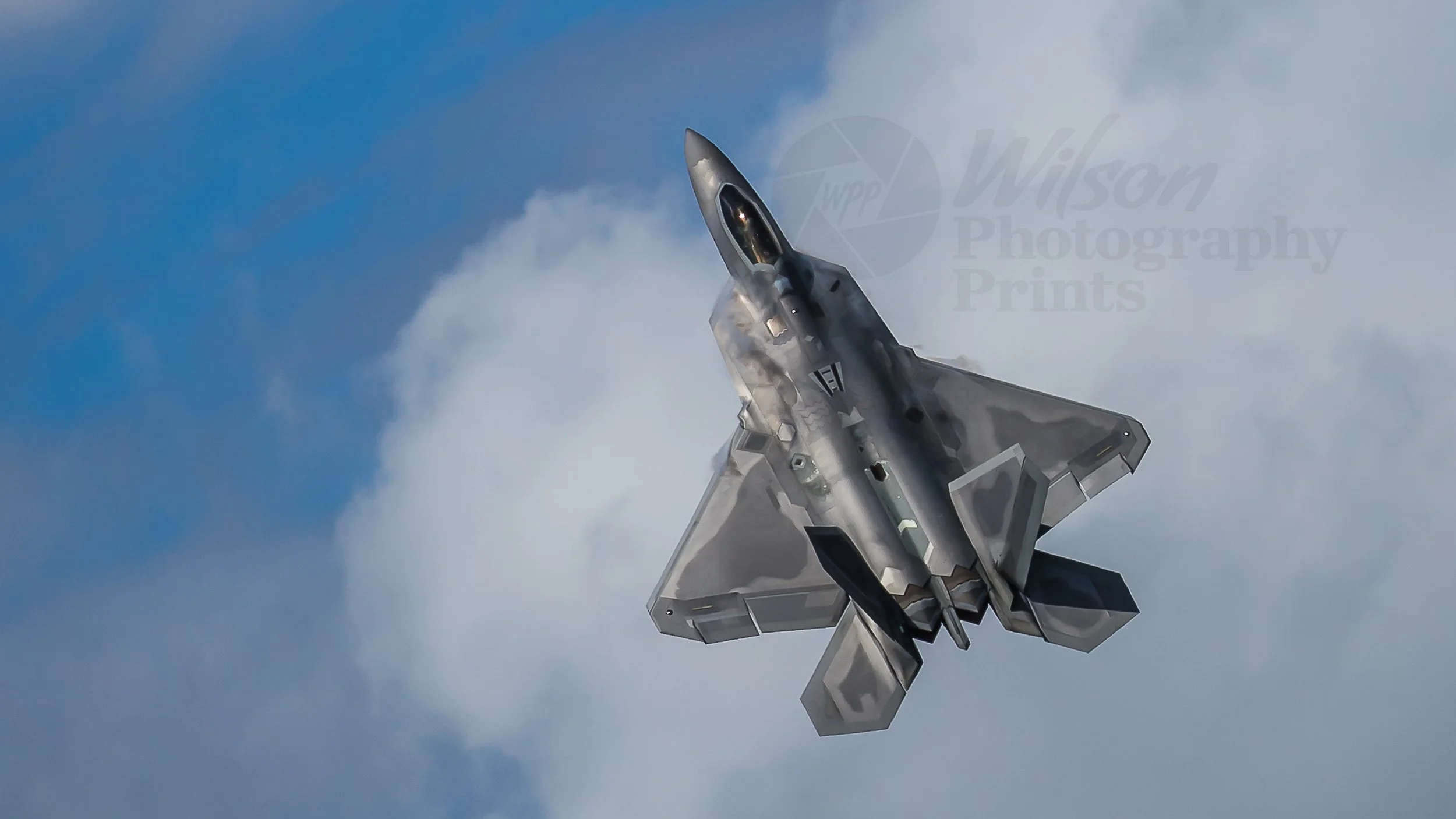 Majestic F-22 Raptor Jet
