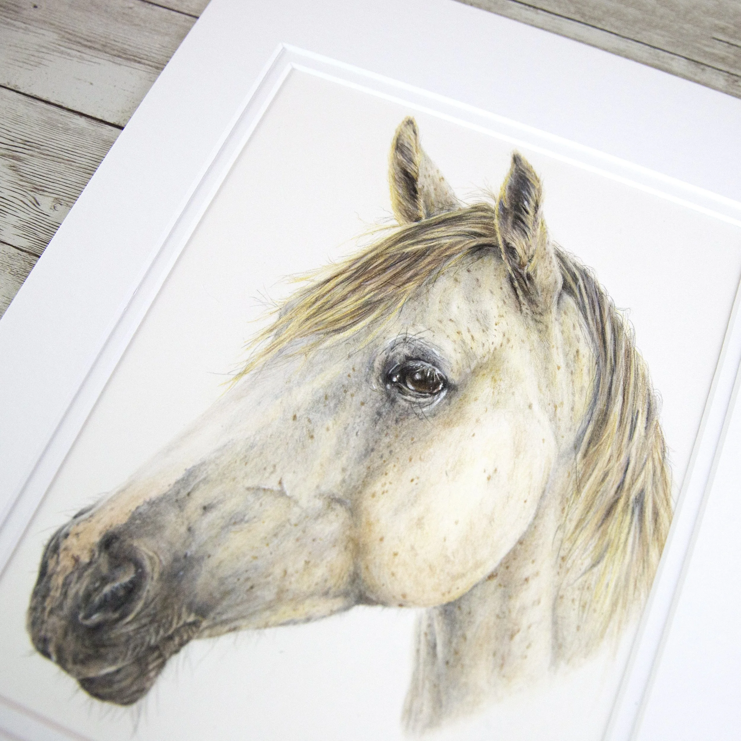 Close-up of a printed or painted image of a horse's head on a white surface, resting on a wooden surface.