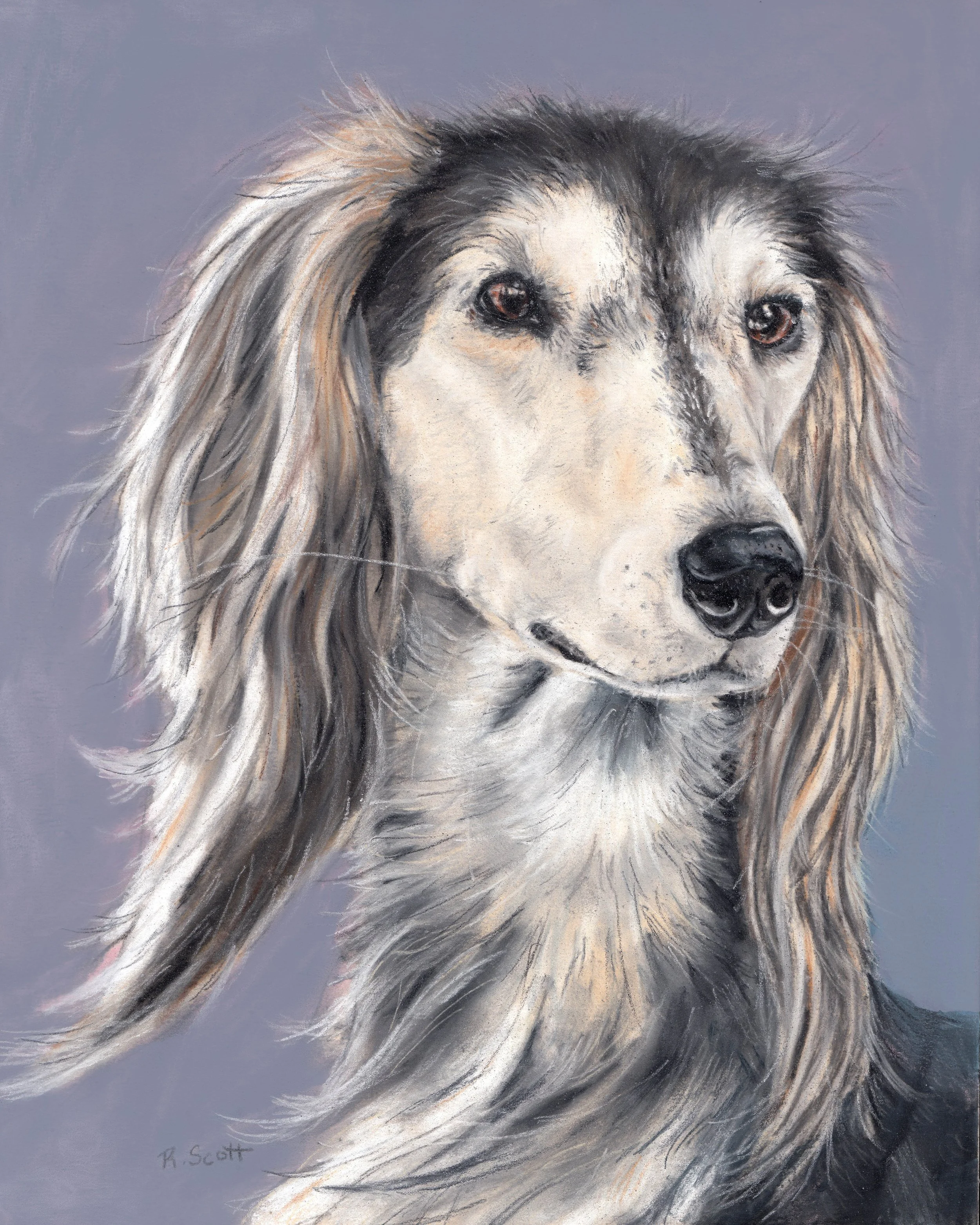 A watercolor painting of a dog with long, flowing fur, black markings on face and ears, and expressive eyes, set against a muted background.