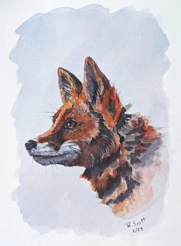 Watercolor painting of a German shepherd dog in profile view with detailed fur and alert ears.