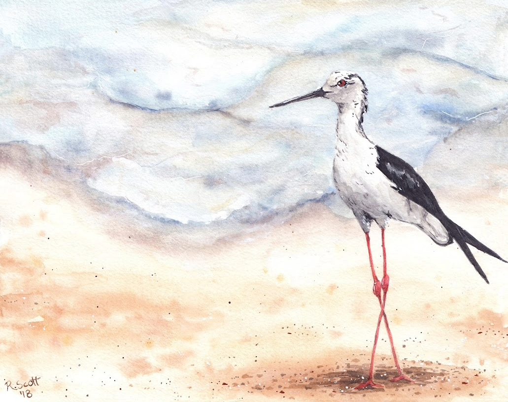 Watercolor painting of a shorebird, possibly a stilt or a heron, standing on pinkish legs with a background of cloudy sky and sandy beach.