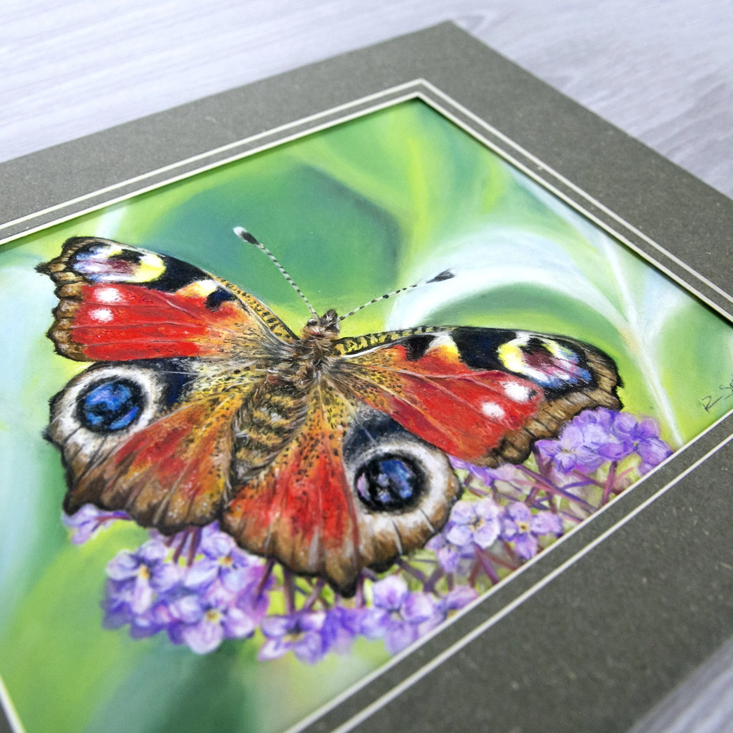 Close-up of a butterfly with colorful wings on a purple flower sitting on a green background.
