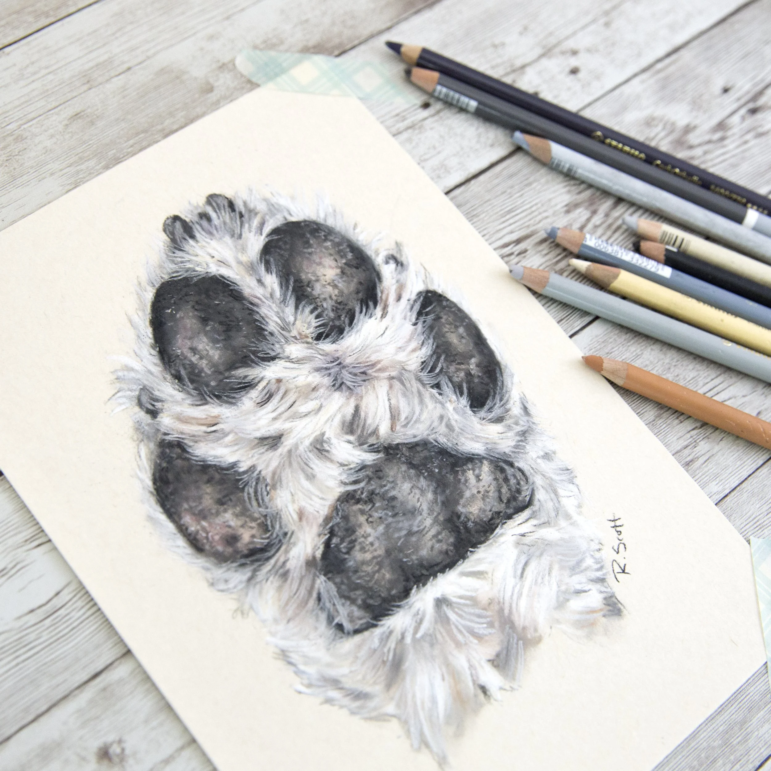 Custom drawing or painting of a dog's paw print on paper. Surrounded by various colored pencils and pastels.