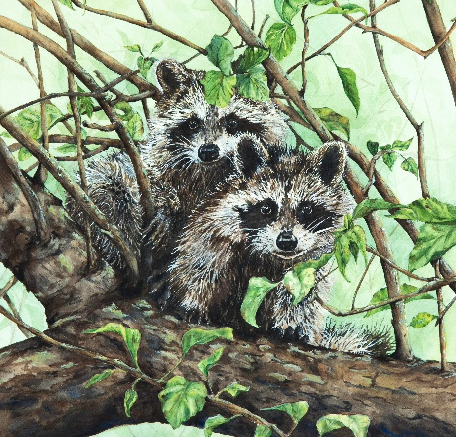 Painting of two raccoons on a tree branch surrounded by green leaves and vines.