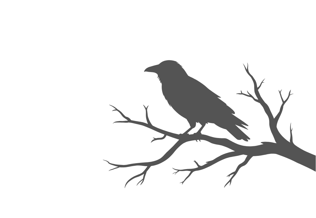 Silhouette of a bird perched on a leafless tree branch against a black background.