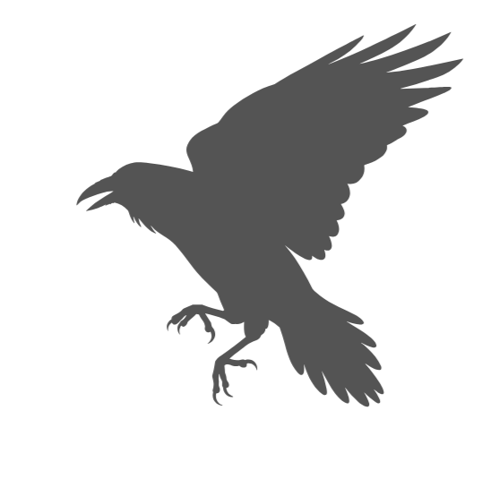 Silhouette of a flying bird, likely a hawk or eagle, against a black background.