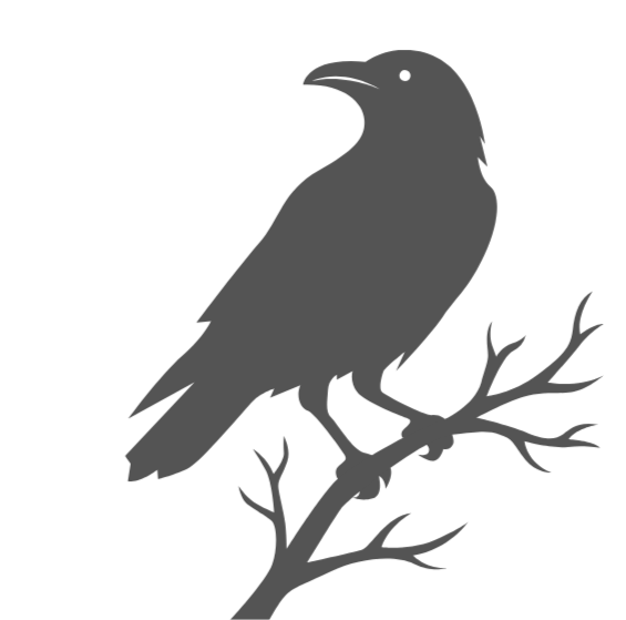 Silhouette of a black crow sitting on a tree branch.