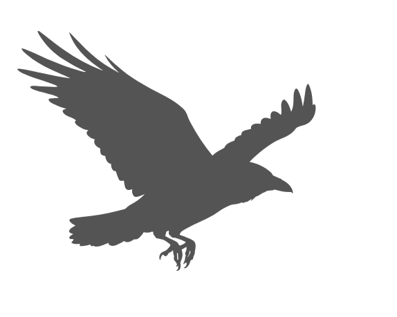 Silhouette of an eagle in flight with wings spread wide.