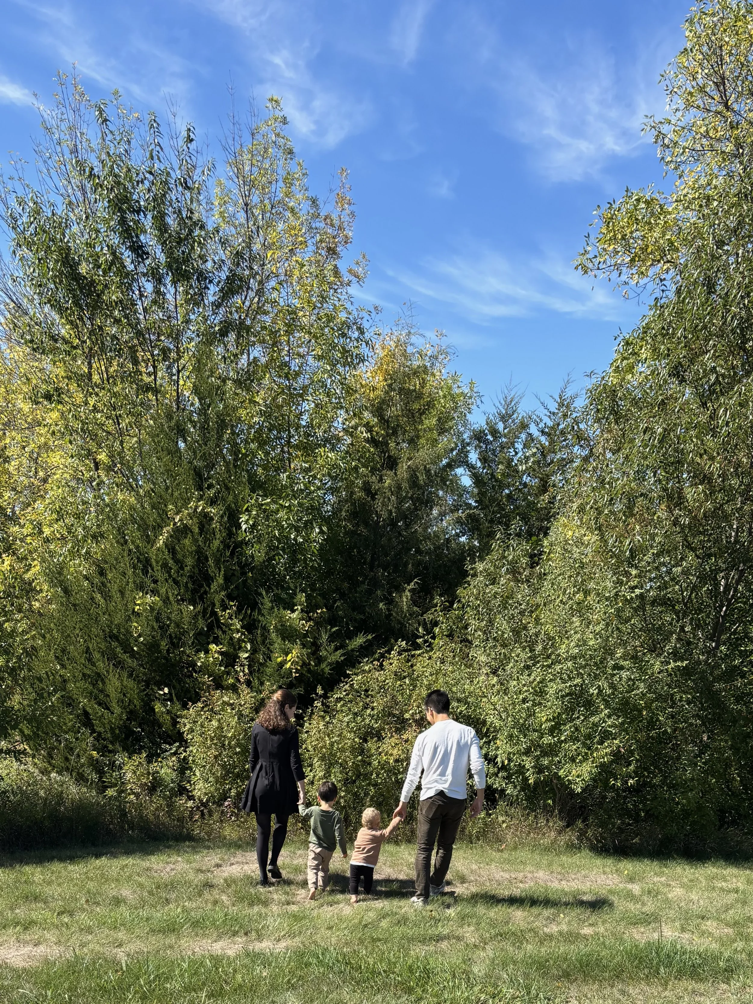 A family of five walking hand-in-hand through a grassy park with tall trees and a blue sky overhead.