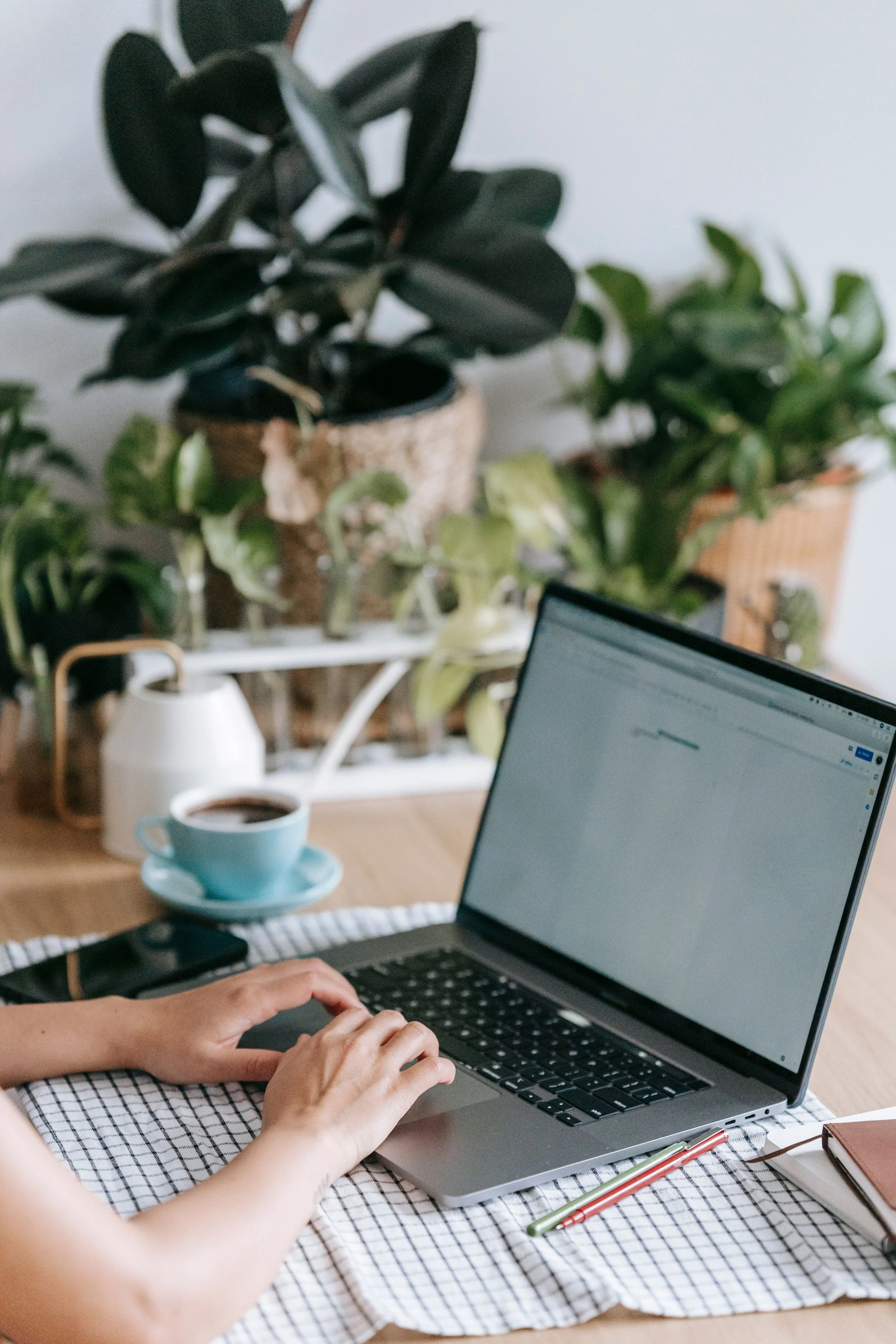 Person using a laptop computer with a cup of coffee on a plaid cloth, on a wooden table in a cozy workspace with potted plants in the background.