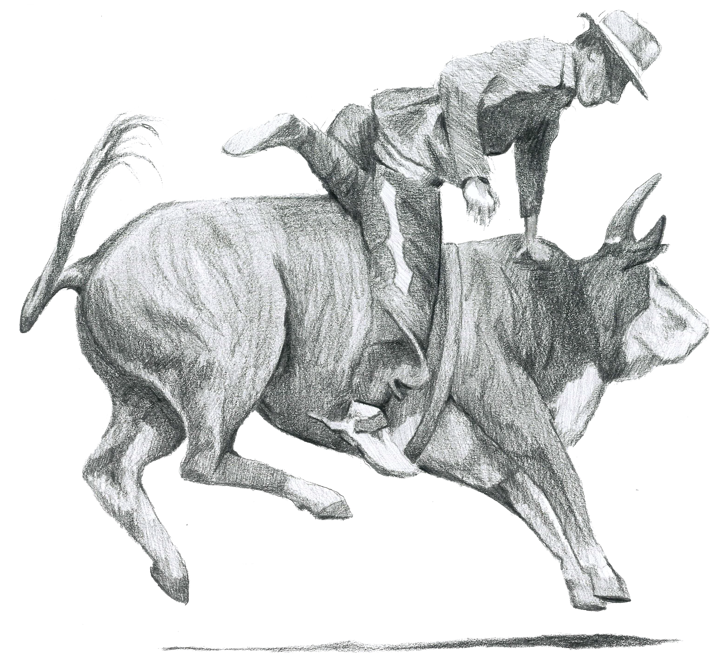 A detailed pencil sketch of a dog with large ears, a slender body, and a long tail, standing in profile.