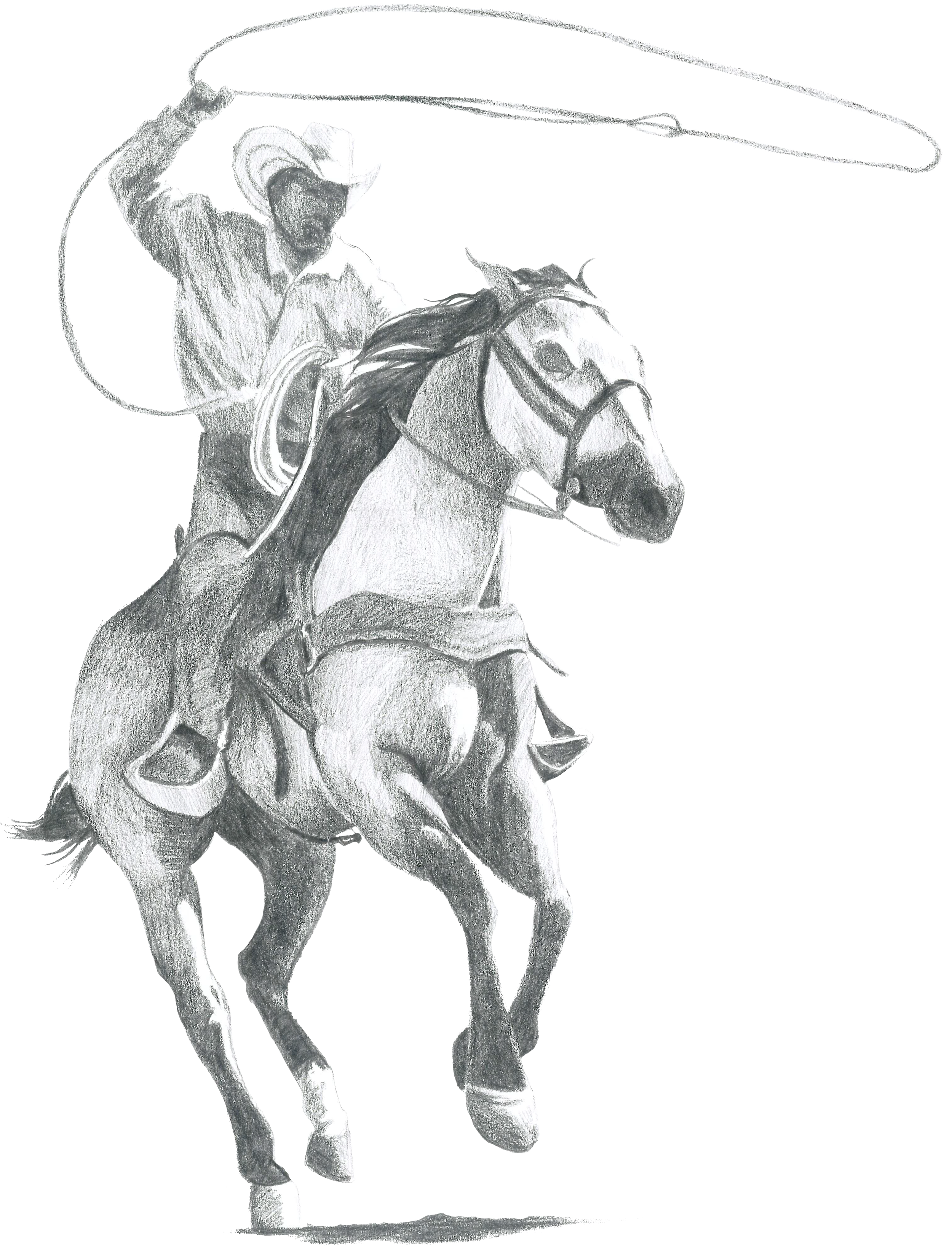 A pencil drawing of a cowboy riding a horse, holding a lasso in the air.