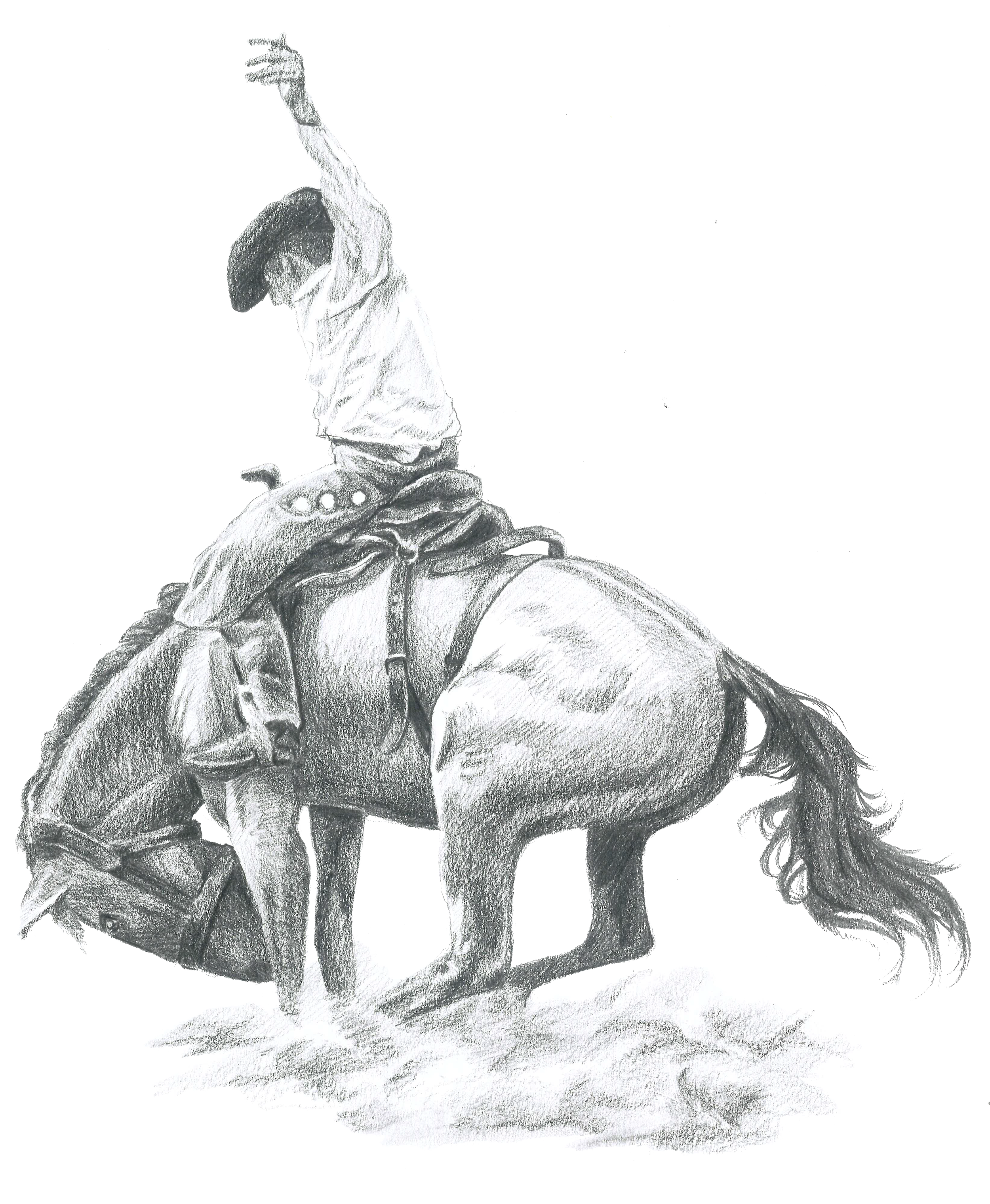 Sketch of a person riding an elephant, holding a trumpet in one hand, with trees or bushes in the background.