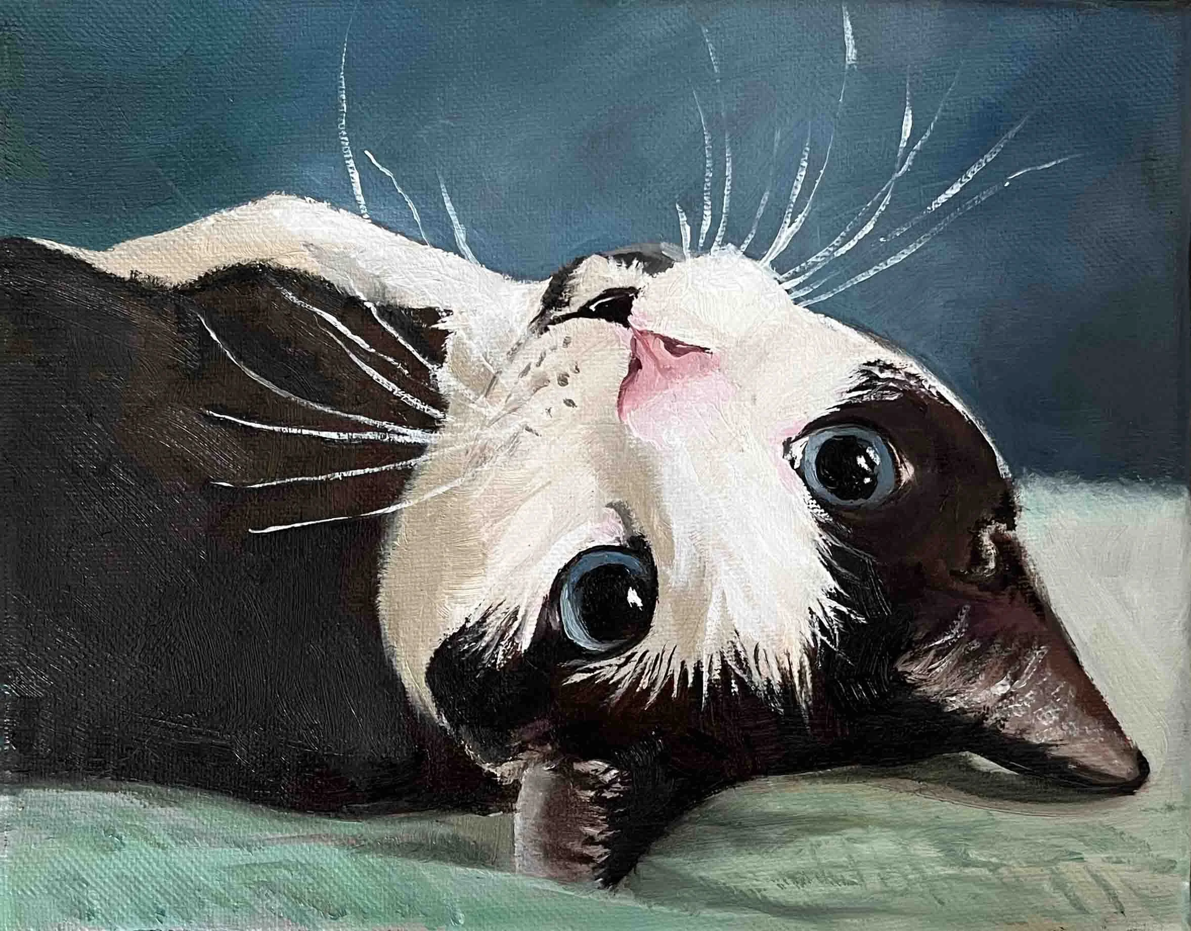 Gizmo