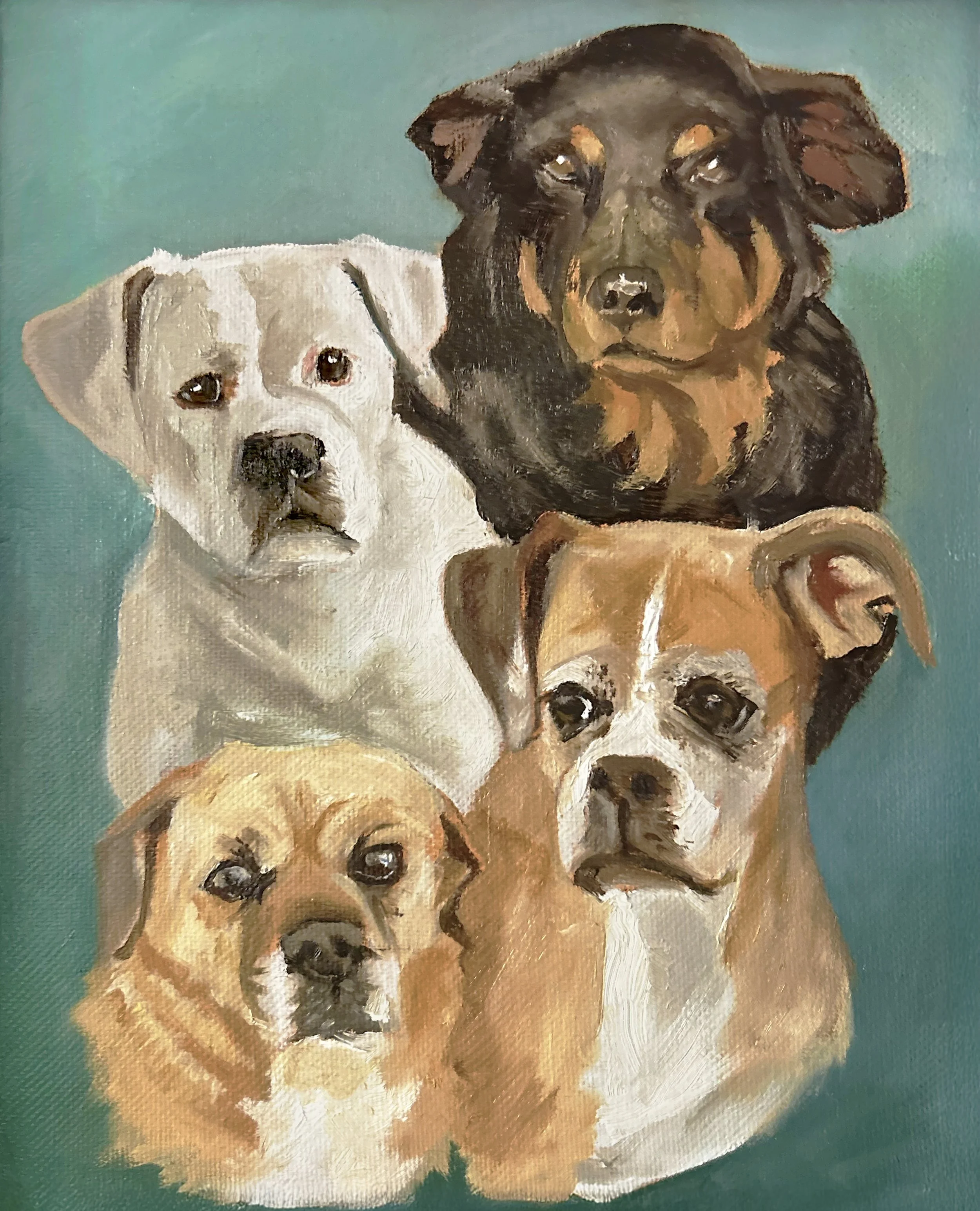 Four Dogs
