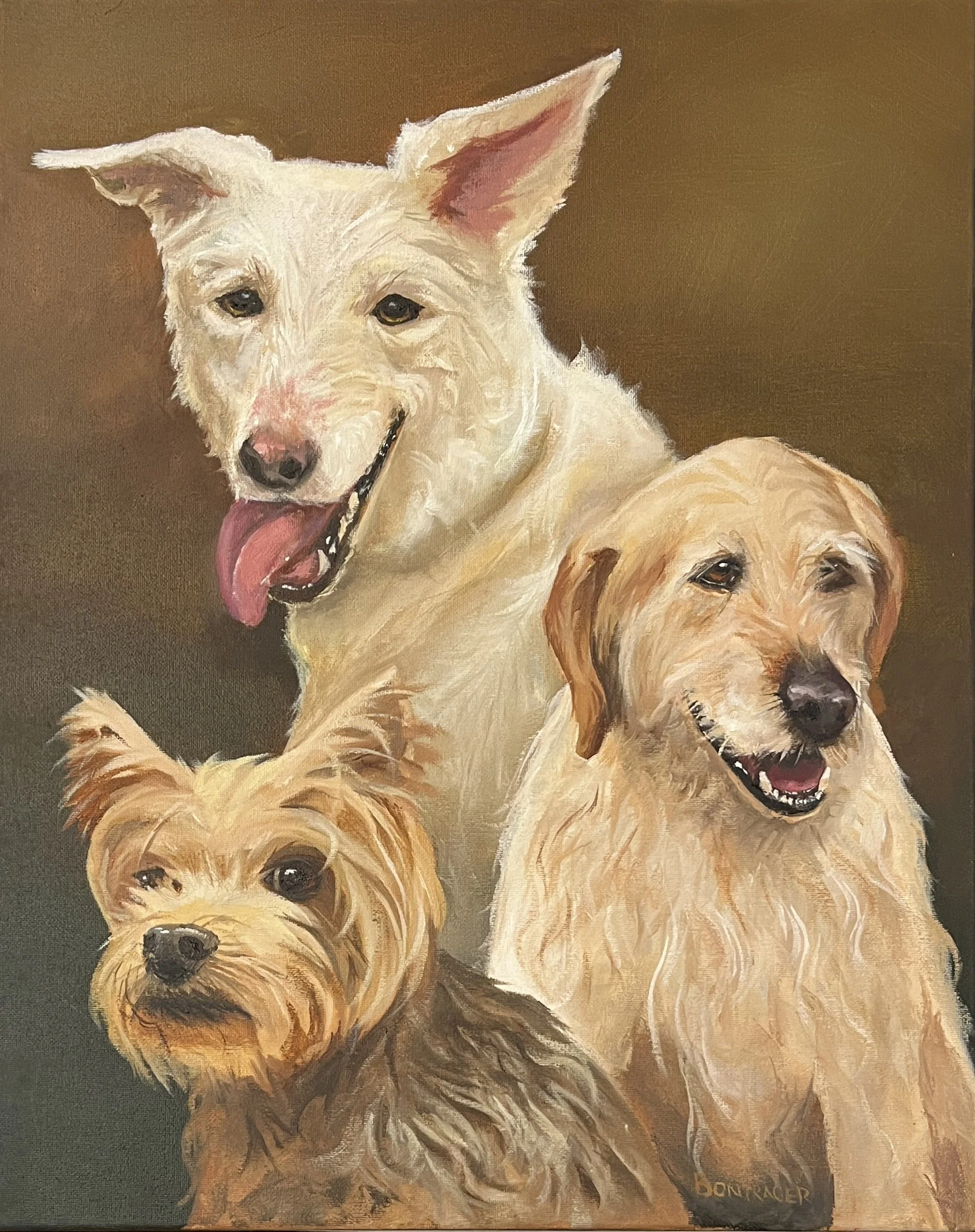Three Dogs