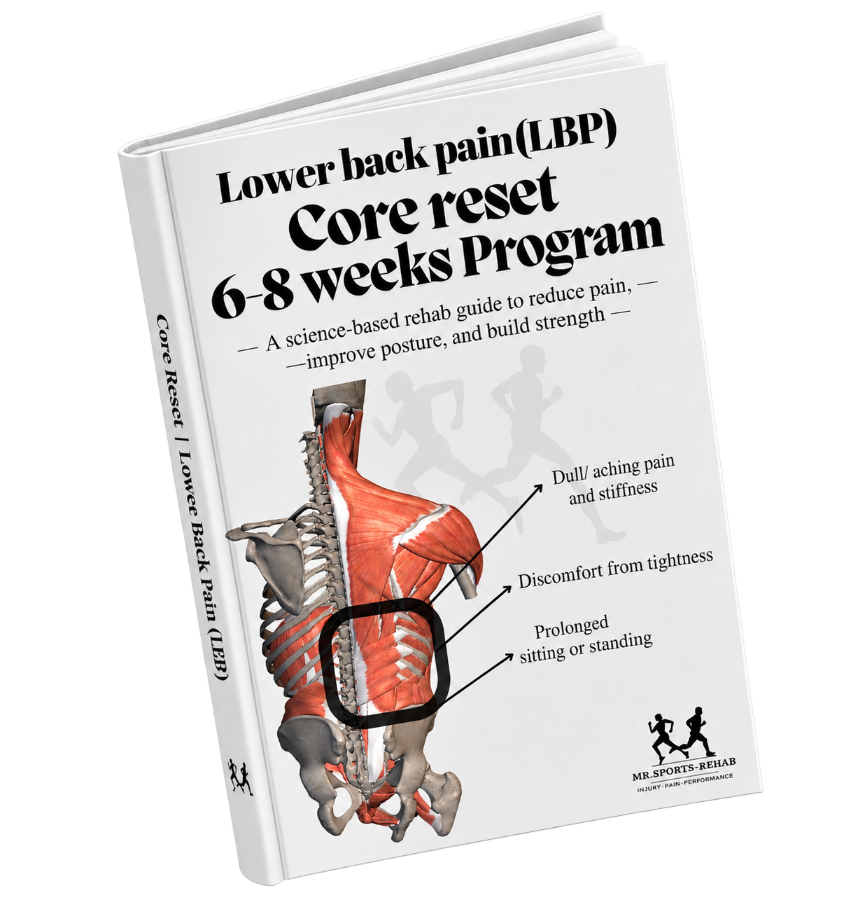 Lower Back Pain (LBP) - 6-8 Weeks Core Reset Programme