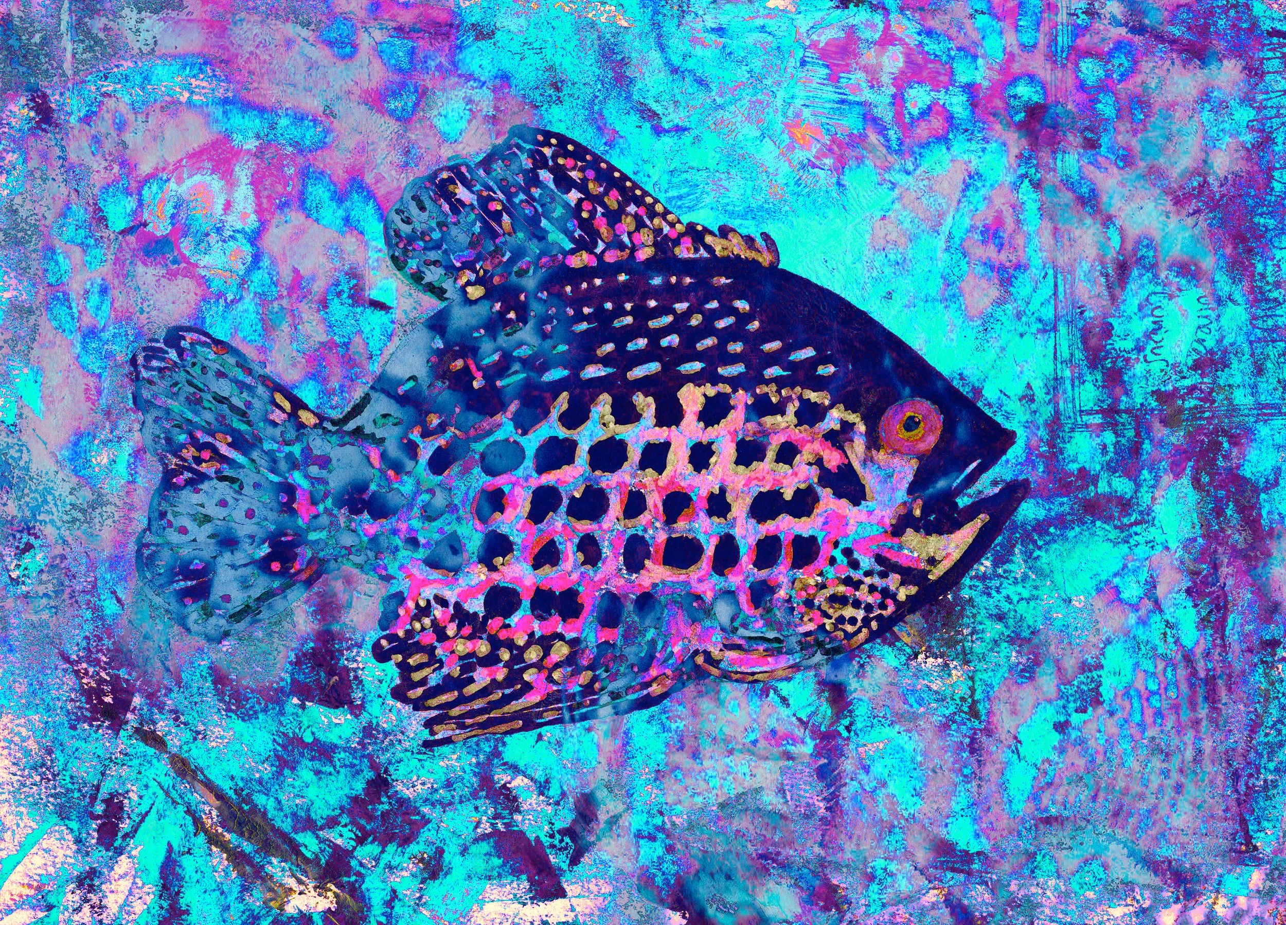 crappie_purple2.jpg