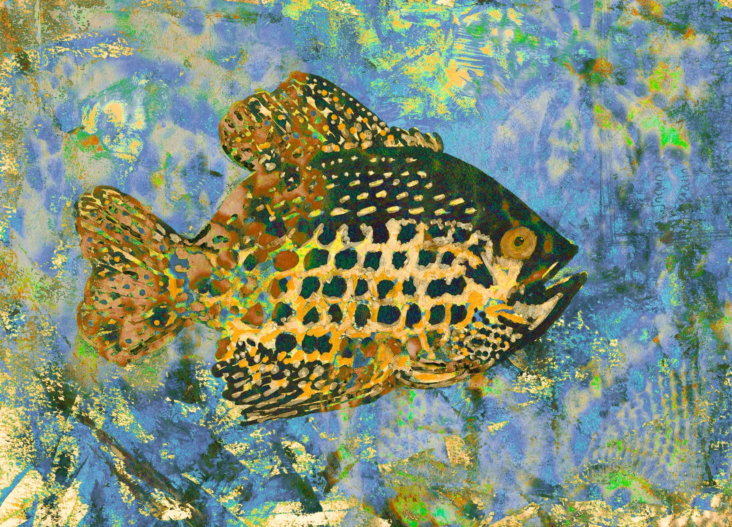 Colorful Crappie