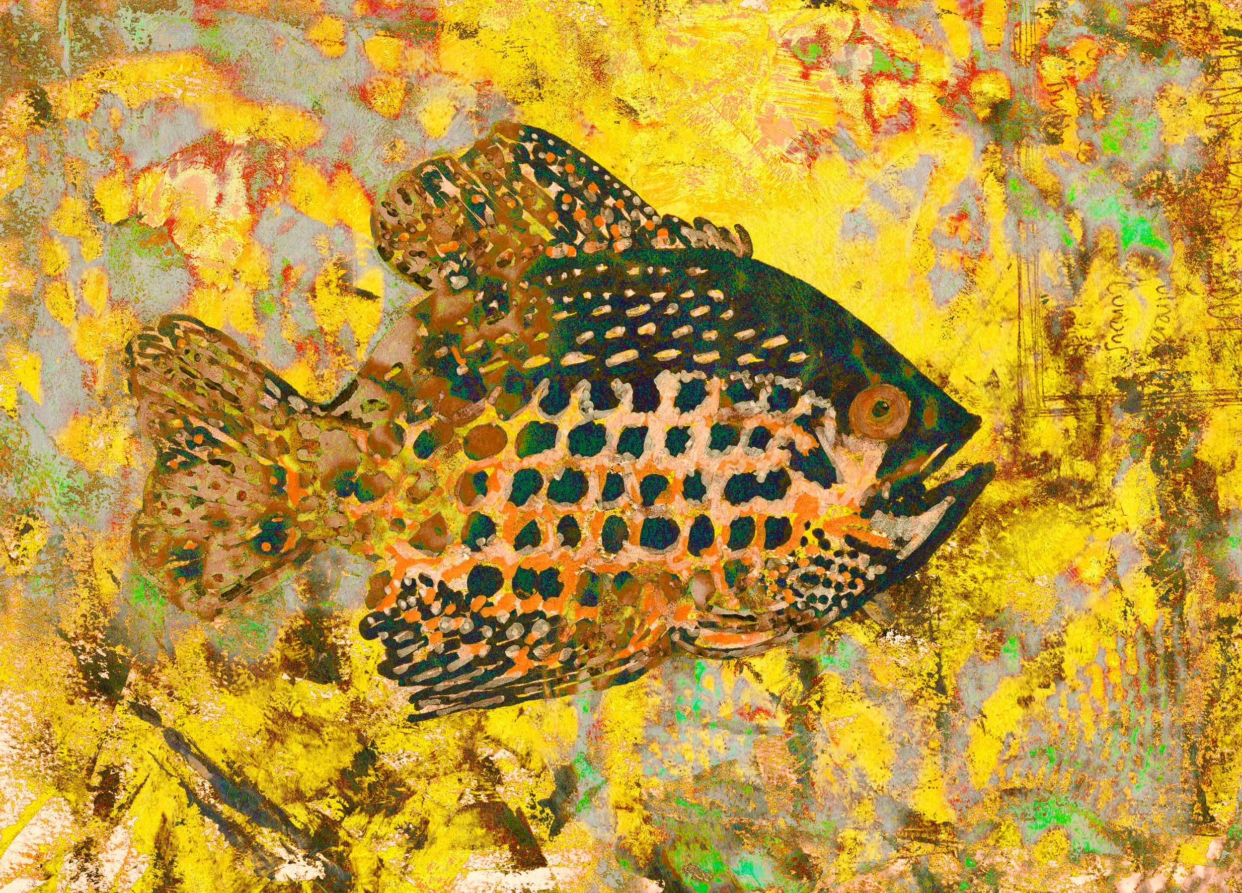 crappie_yellow.jpg