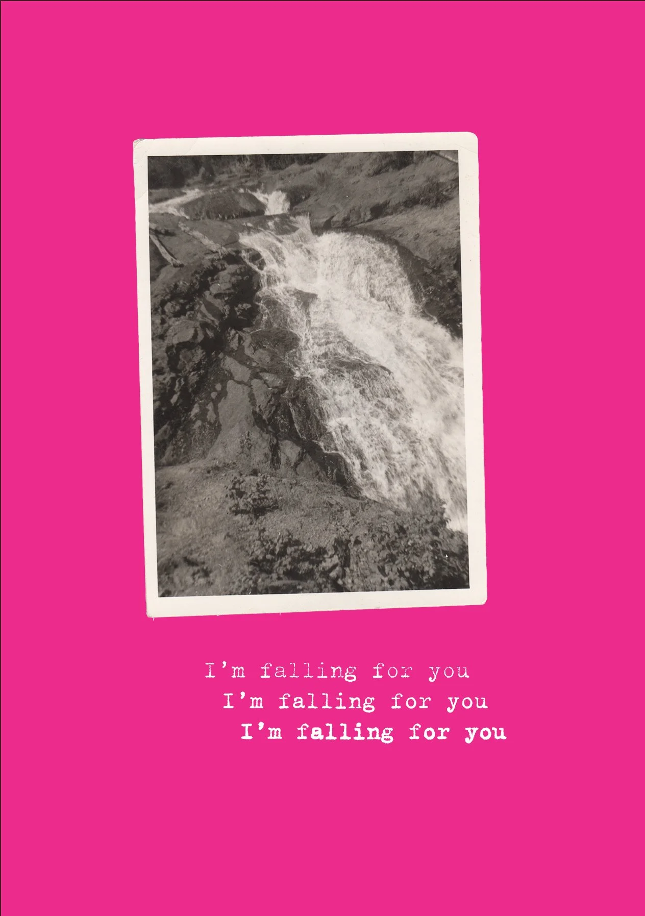 i'm falling for you dark pink moo small.jpg