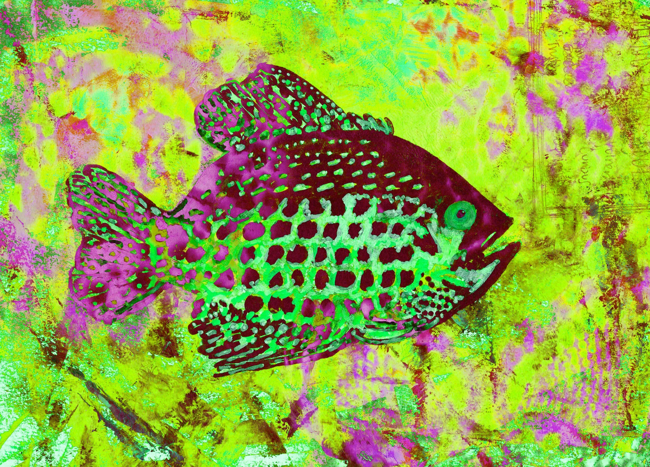 crappie_pinkgreen.jpg